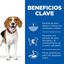 363 g Hill's Adult Perfect Weight Pollo y Vegetales lata para perros, , large indicador imagen numero 3
